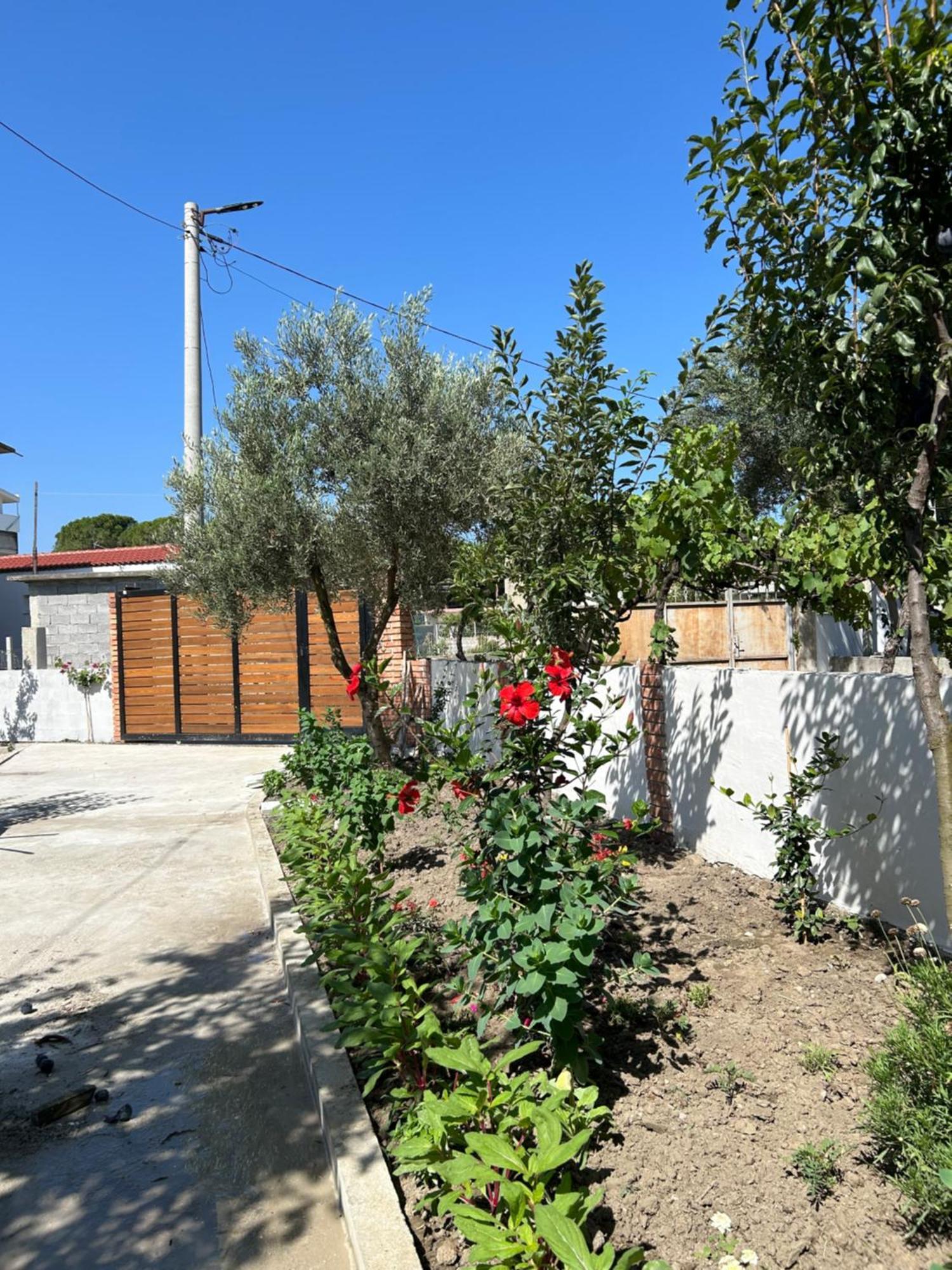 Vila Roan Vlorë Екстериор снимка